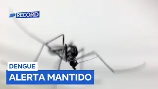 Mesmo com queda nos casos, Ribeirão Preto mantém alerta contra a dengue