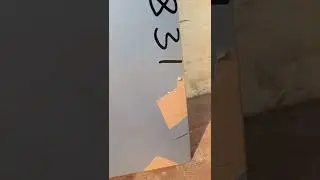 155831
