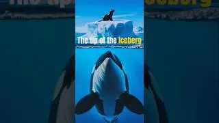 At the bottom of the Iceberg #animals #animation #shorts  49