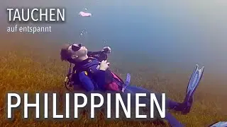 Philippinen 2020 - Insel Cabilao mit einer Zauberwelt unter Wasser - Tauchen im Polaris Beach Resort