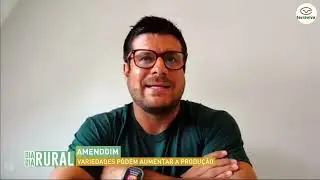 Amendoim: variedades podem aumentar a produção