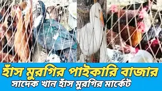 হাঁস মুরগির পাইকারি মার্কেট রায়ের বাজার ঢাকা Royal Bazaar wholesale chicken hen market price🦆🦆🐔🐔