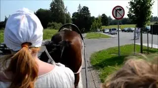 Keeris-Viimne Ratsu HD AareVideo