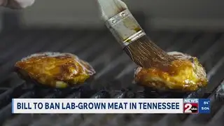 Bill to ban lab-grown meat in Tennessee
