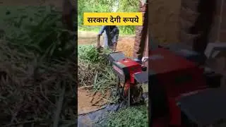 Chaff Cutter Subsidy //Chaff Cutter #chaffcuttermachine #chaff_cutter_machine_for_dairy_farm #chaff