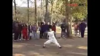Dragon Form-Long Hua Quan