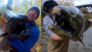 JERKBAIT KING SALMON BEATDOWN - Kletzsch Park - Milwaukee River - Chinook Salmon Run