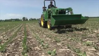 Школа сои: Rolling Soys