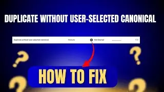 Duplicate Without User Selected Canonical How to Fix Them
