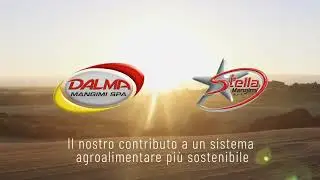 Dalma Mangimi