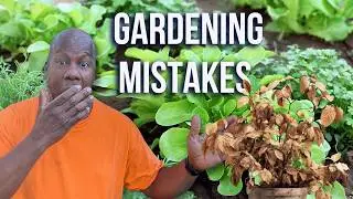 Beginner Gardening Mistakes That Kill Your Vegetables