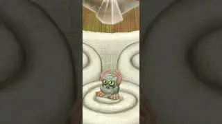Plant Island Trio On Composer!!