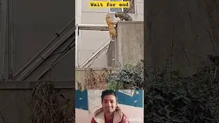 Amazing animals: This Was Unexpected!! #viral  #youtube #shorts