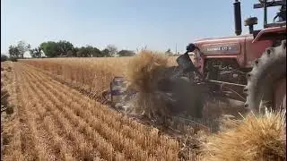 ## 🚜 Tractor  mounted reaper binder machine for wheat harvesting