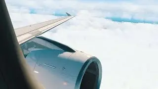 Approaching and landing at Cairo International Airport | FFA320 | SVA120