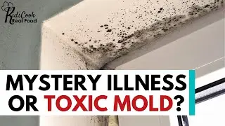 Could Mold be a Root Cause of...ADHD? Picky Eating? Your Mystery Illness? with Beth O'Hara HPC: E166