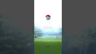 Does mega-aerodactyl boost aerodactyl spawn rate?