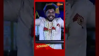 Ananda Raaga | Udaya TV | #shorts