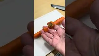 Don&rsquo;t peel carrots #alabamahomestead #johninesgoods #carrots #gardenseries #carrot #growingtips