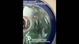 vacuum homogenizer #weishumachinery#homogenizer