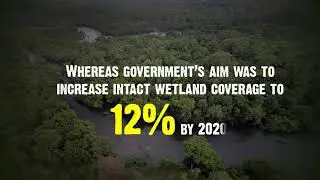 Wetland Management