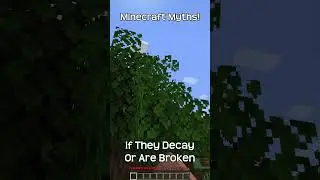 Stop Believing This Minecraft Myth 2!