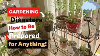 Gardening Disasters: How to Be Prepared for Anything!