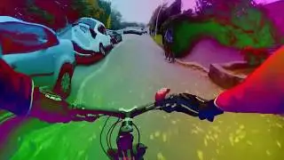Happy Bicycle Day