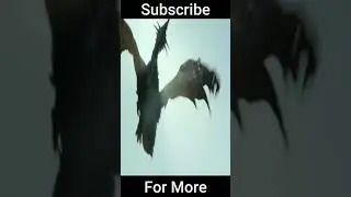 dragon fire #short