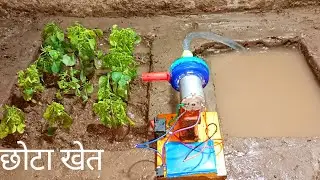 #Video DIY Agriculture farming | Village house||Mini Farm-with Water pump| Tubwell