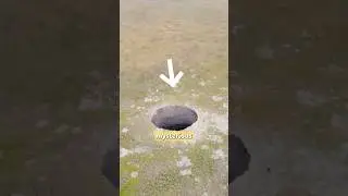 Тайна Сибирского кратера разгадана!