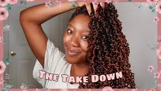 BEST WAY I Take Down My Protective Styles