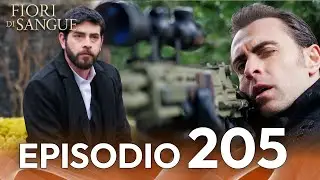 Fiore Di Sangue Episodio 205 | Sottotitolato in italiano | Kan Cicekleri