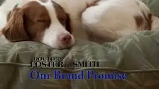 Invest in Your Dog's Comfort With a Dog Bed (DrsFosterSmith)
