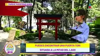 Jap&oacute;n sin salir de M&eacute;xico: Conoce el Parque Masayoshi Ohira en Coyoac&aacute;n | Sale el Sol