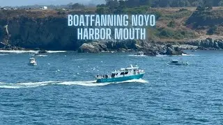 Boatfanning Noyo Harbour Mouth - Bouncing like nothing else! - 7/27/23