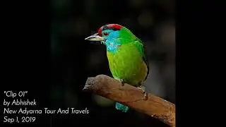 A short Travel Clip