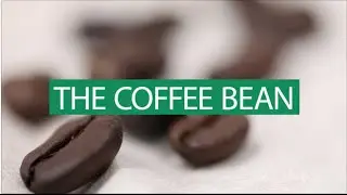 A boost to the Philippine coffee industry