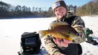 Jigging Up Bluegills With GARMIN LIVESCOPE | Wisconsin Ice Fishing 2021