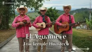 Trío Temple Huasteco - El Aguanieve (Solo Audio)
