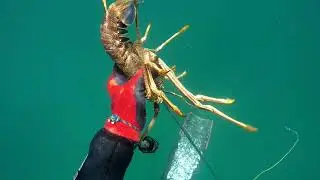 Spearfishing pesca sub  pesca submarina Farol da Barra Salvador-BA Brasil 2020