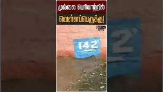 முல்லை பெரியாற்றில் வெள்ளப்பெருக்கு! | Mullaiperiyar Dam