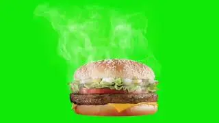 Burger green screen video for ads 