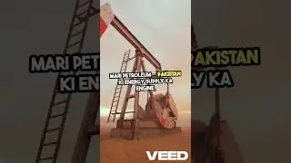 Top Pakistani Stocks to Watch in 2025 &ndash; Sectors & Companies Explained in Urdu!