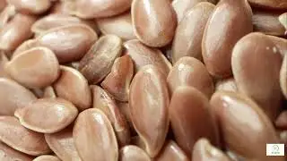 Omega 3 Fatty Acids &mdash; The Brain&rsquo;s Best Friend After 60