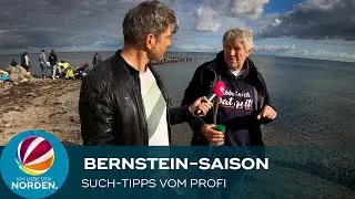 Bernstein-Saison: So ist die Suche garantiert erfolgreich