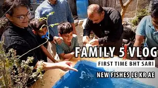 Colorful Fish Shopping & DIY Pond Release Adventure!