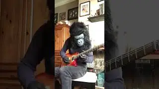 Killer Queen Solo                                #queen #guitar #music