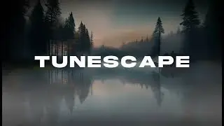 Morning Mist Piano &ndash; Relaxing Soft Piano Music in a Forest Lake for Peaceful Mornings