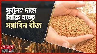 বিশ্ববাজারে কমছে চাল-গমের দাম | Global Food Market | Grain Market Declines | Somoy TV